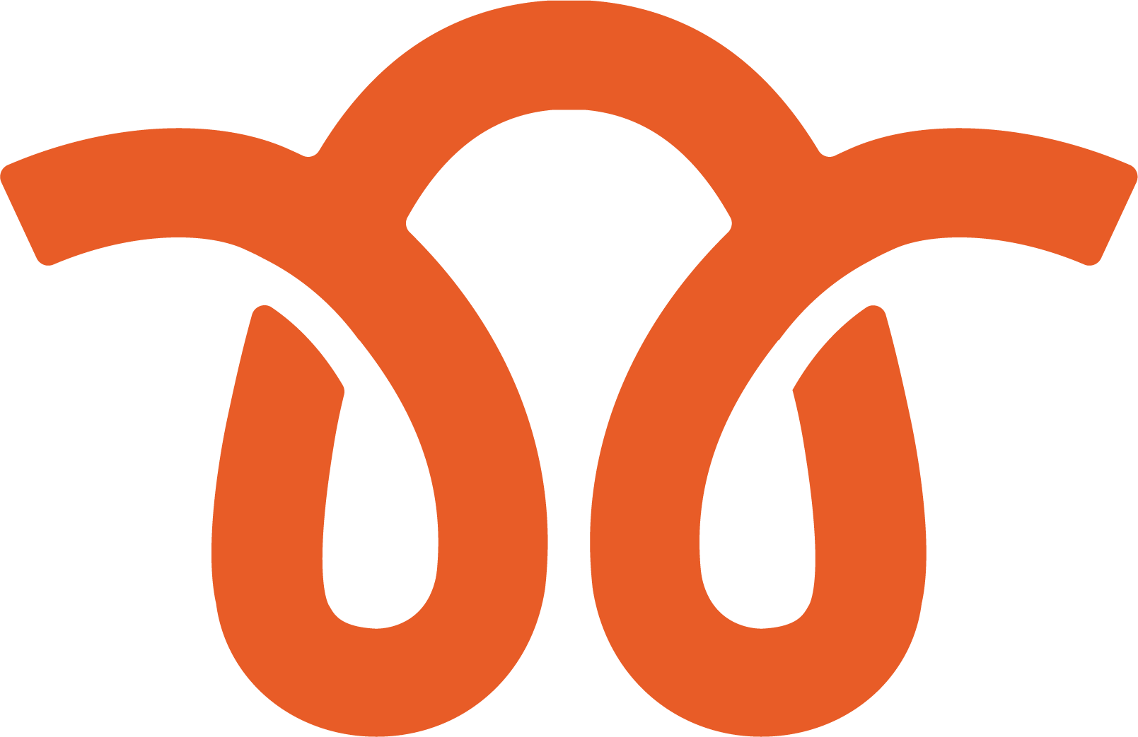 Audax